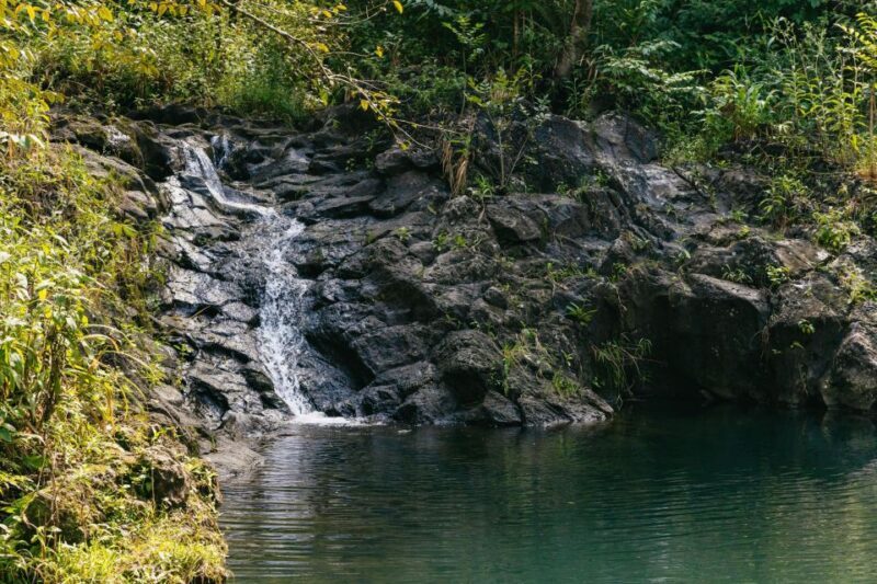 Maui: Rainforest Waterfalls Guided Hike with Picnic Lunch - Cultural and Botanical Insights