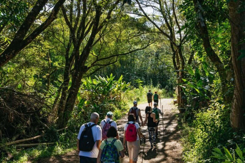 Maui: Rainforest Waterfalls Guided Hike with Picnic Lunch - Logistics and Practical Details