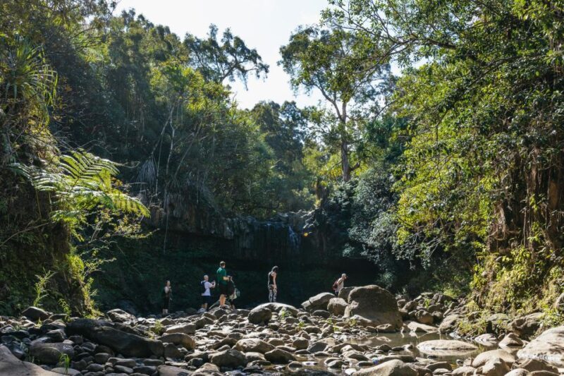 Maui: Rainforest Waterfalls Guided Hike with Picnic Lunch - The Value of the Experience