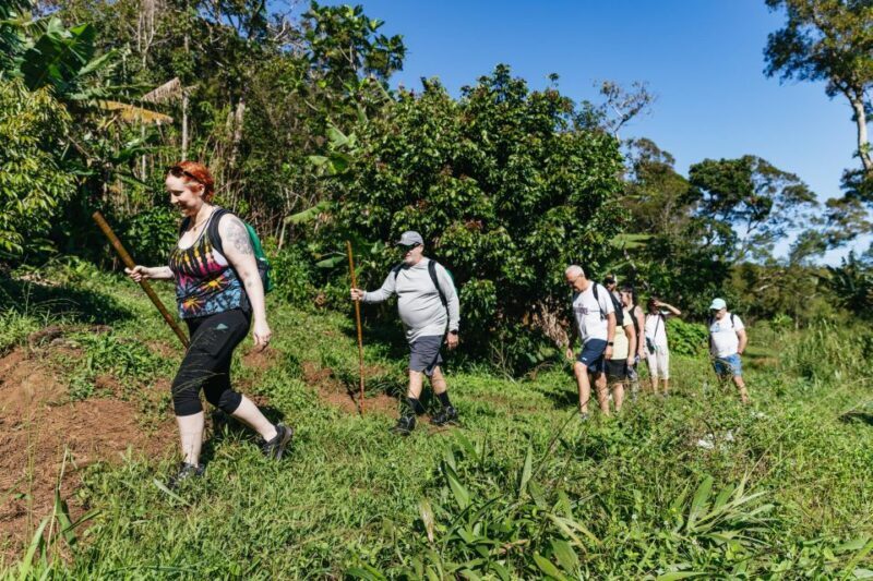 Maui: Rainforest Waterfalls Guided Hike with Picnic Lunch - Authenticity and Highlights from Reviews