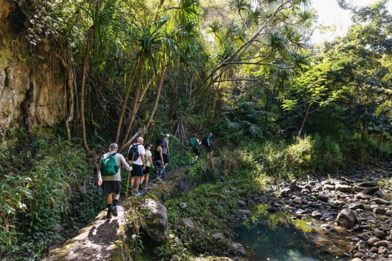 Maui: Rainforest Waterfalls Guided Hike with Picnic Lunch - The Sum Up