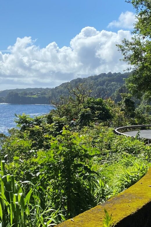 Maui: Road to Hana Private Adventure Tour with Luxury SUV - Who Should Consider This Tour?