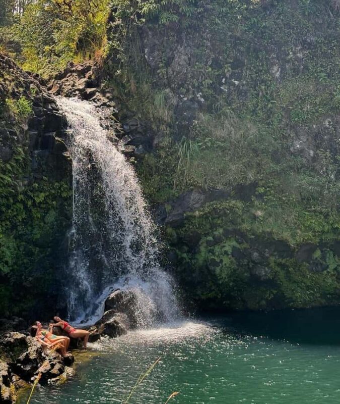 Maui Sea Turtles & Waterfalls: Full-Day Road to Hana Tour - The Full-Day Adventure: What to Expect