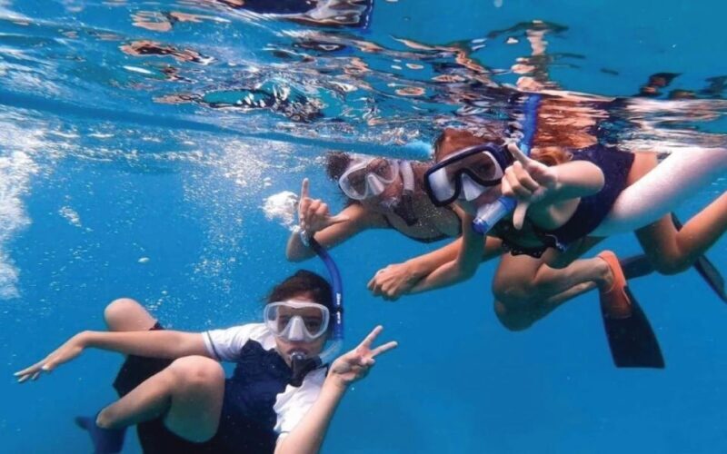 Maui: Semi-Private 3 Hour Eco-Raft Turtle Snorkel Tour - A Closer Look at the Maui Eco-Raft Snorkel Tour