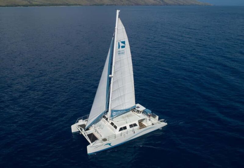 Maui: Snorkel and Sunset Sail with Water Slide - Key Points