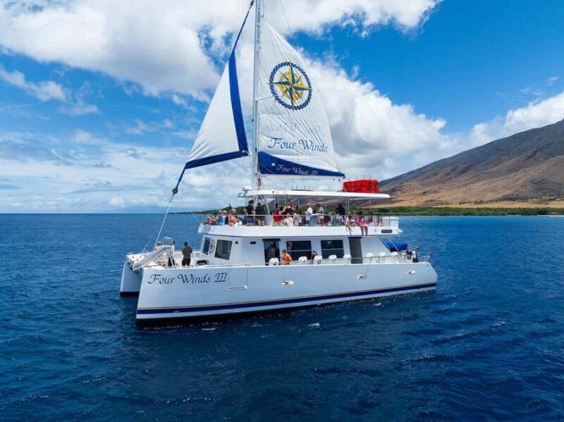 Maui: Snorkel Tour to Coral Gardens - A Closer Look at the Experience