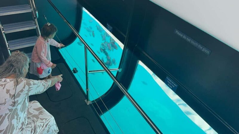 Maui: Snorkel Tour to Coral Gardens - Final Words