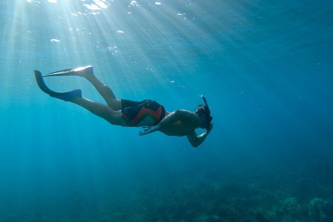 Maui Snorkeling Boat Tour to Turtle Town Aboard Quicksilver - Who Will Love This Tour?