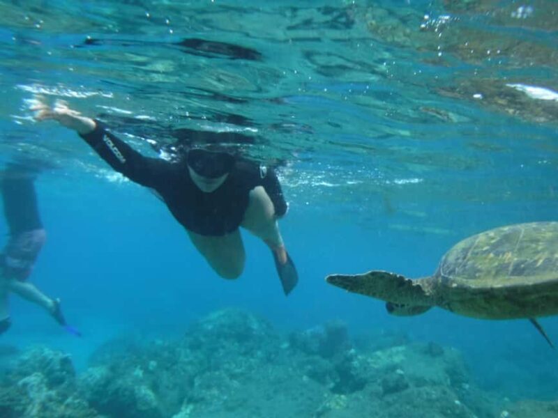 Maui: Snorkeling Tour with Gear and Instructor - What Makes This Snorkeling Tour Stand Out