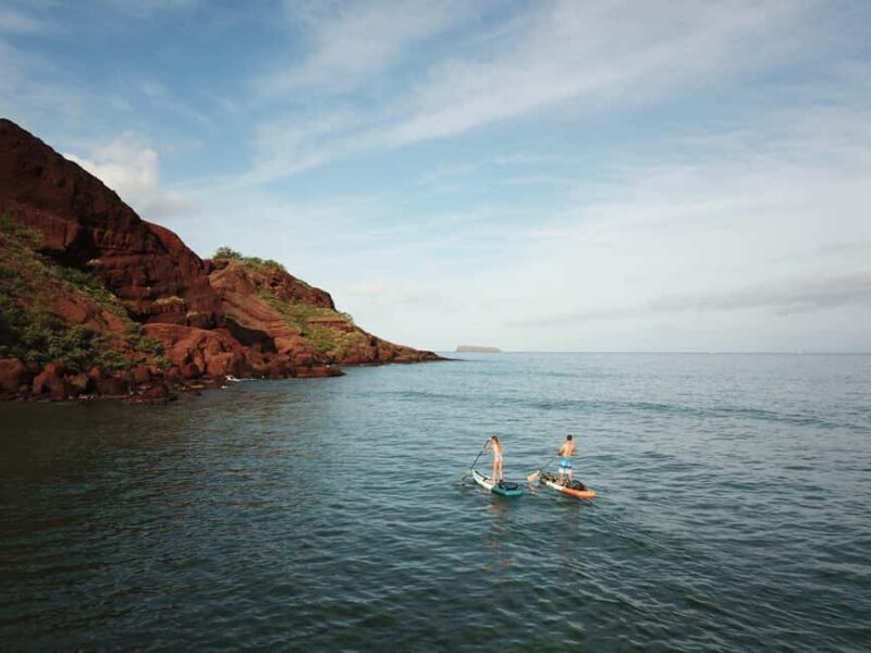 Maui: Stand-Up Paddleboard Rental - What to Expect During Your Paddle