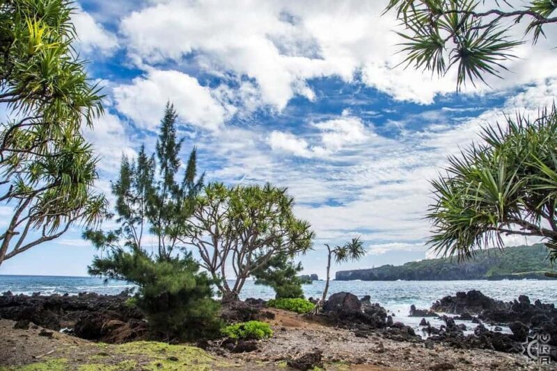 Maui: The Ultimate Road to Hana Slingshot Adventure Tour - Who Will Love This Experience?