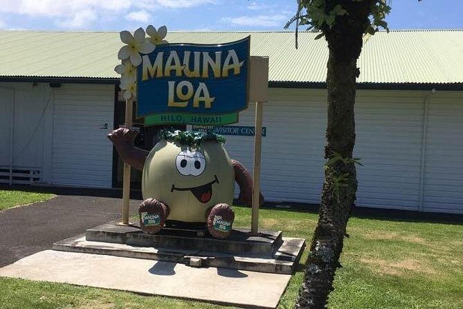 Maui to Big Island : Big Island Volcano Helicopter Tour & Ground Tour - The Sum Up: Who’s This Tour Best For?