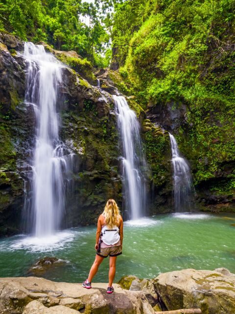 Maui Tropical Rainforest Eco Tour with Lunch - Exploring the Maui Tropical Rainforest Eco Tour: A Complete Breakdown