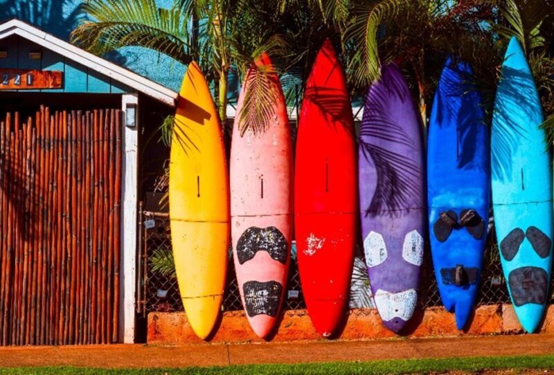 Maui Tropical Rainforest Eco Tour with Lunch - Final Thoughts: Who Should Consider This Tour?