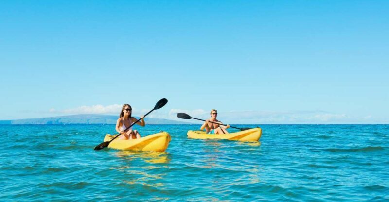 Maui: Turtle Town Kayak and Snorkel Tour - Who Should Book This Tour?
