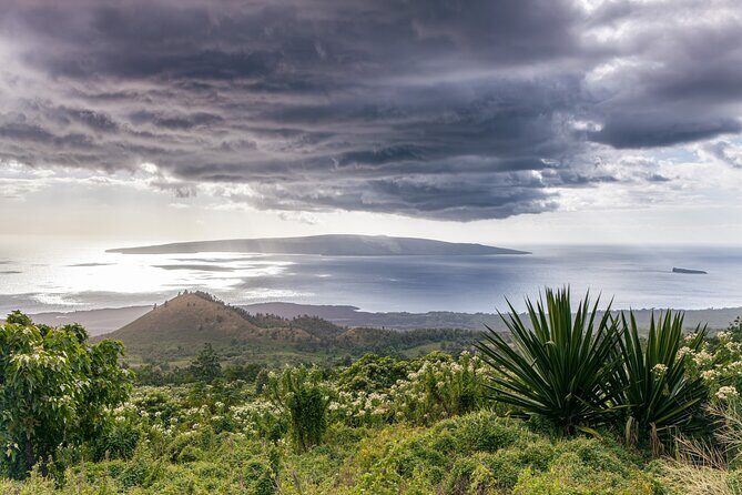Maui Upcountry Drive, Haleakala NP & Ocean Vodka Distillery Tour - An In-Depth Look at the Tour Experience