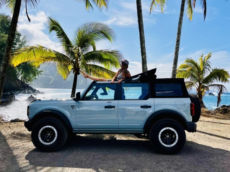 Maui: VIP Road to Hana Private Tour in Convertible SUV - Who Is This Tour Best For?