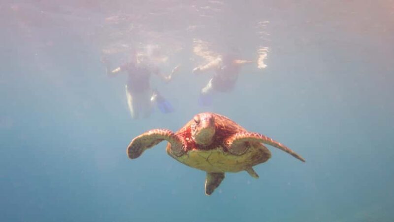 Maui: West Coast Snorkeling Boat Tour w/Breakfast & Lunch - Exploring the Itinerary: What You Can Expect