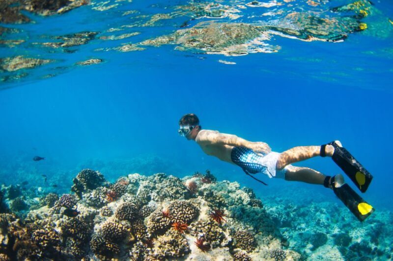Maui: West Side Discovery Kayak & Snorkel from UKUMEHAME - Final Thoughts: Is This Tour Worth It?