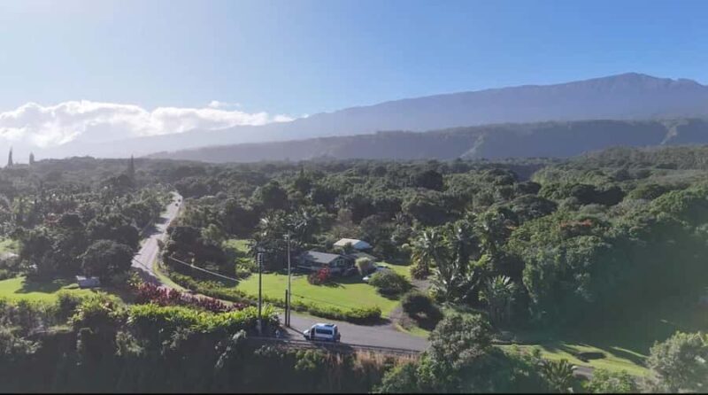 Maui's Sea Turtle & Waterfalls: Taste of Hana Guided Tour - Key Points