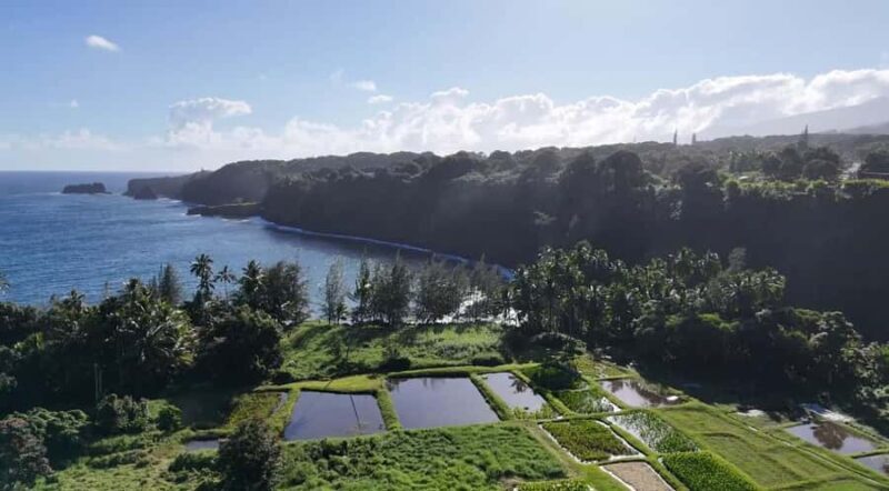 Maui's Sea Turtle & Waterfalls: Taste of Hana Guided Tour - An In-Depth Look at the "Taste of Hana" Experience