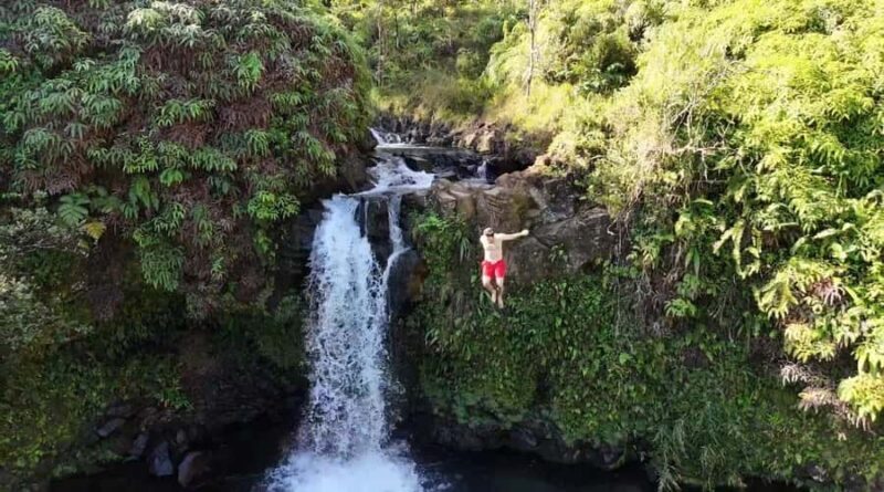 Maui's Sea Turtle & Waterfalls: Taste of Hana Guided Tour - Frequently Asked Questions