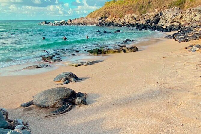 Mauis Sea Turtles, Waterfalls and Road to Hana Adventure - The Journey Begins: From Pickup to Panoramas