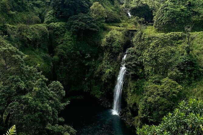 Mauis Sea Turtles, Waterfalls and Road to Hana Adventure - Value and Overall Experience