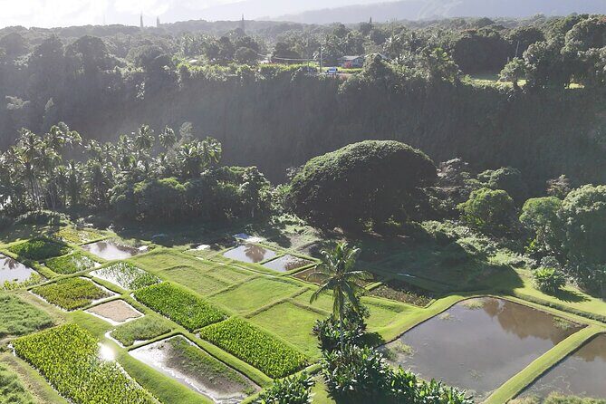Mauis Sea Turtles, Waterfalls and Road to Hana Adventure - The Sum Up: Is It Worth It?
