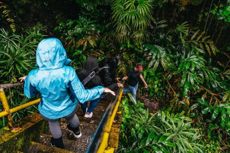 Mauna Kea: Stellar Explorer Tour from Hilo - The Sum Up