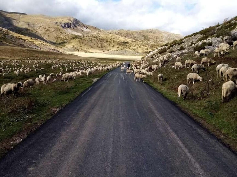 Mavrovo, Galicnik and Jovan Bigorski Monastery from Skopje - FAQ