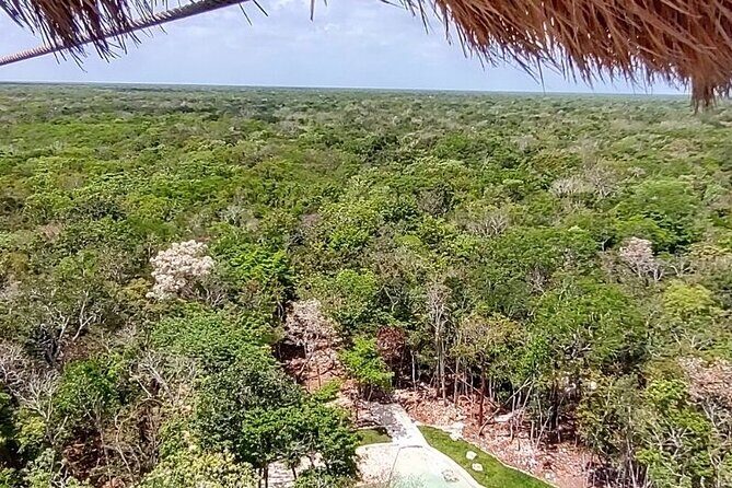 Maya Adrenaline: ATV, Ziplines & Cenote From Playa del Carmen. - Exploring the Itinerary: What to Expect