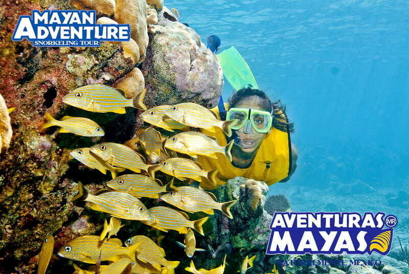 Mayan Adventure - 3 different snorkeling sites in one day! - An In-Depth Look at the Mayan Adventure Tour