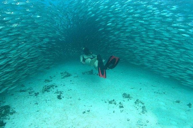 Mayan Adventure from Cancun - In The Sum Up