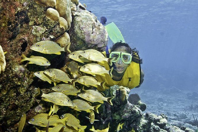 Mayan Adventure from Cancun - Exploring the Itinerary: What You Can Expect