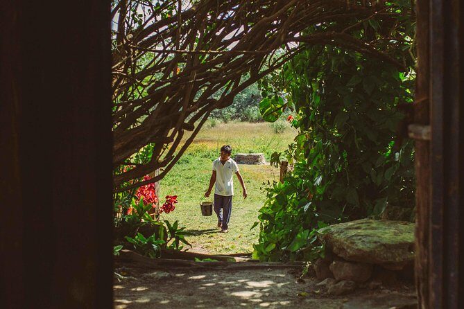 Mayan Backroads Private Bike Tour from Tulum - The Value for Money