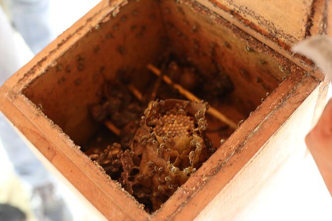 Mayan Backroads Private Bike Tour from Tulum - Who Will Love This Tour?