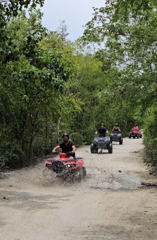 Mayan Journey  ATV Adventure in Cozumel - Who Should Consider This Tour?