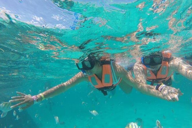 Mayan Jungle Tour Speed Boat Snorkel and Snack - What Do the Reviews Say?