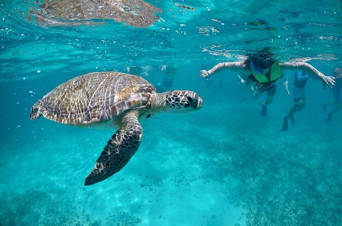 Mayan snorkeling (Akumal-Cenote-Caverna) - Who Will Love This Tour?