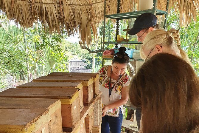 Mayas of Yesterday & Today: Tekit + Mayapan - The Sum Up