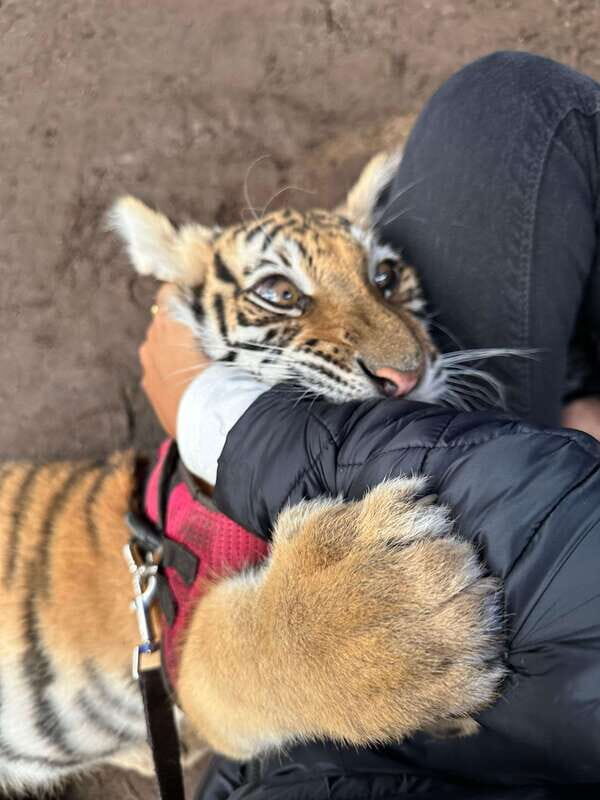 Mazamitla tour from Guadalajara visiting Mundo Aventura - FAQs