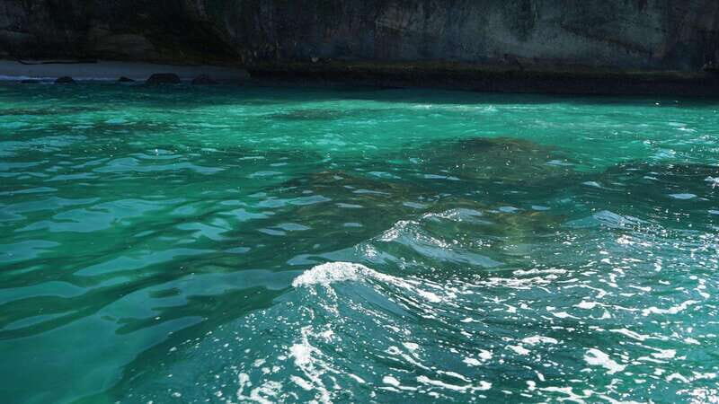 Mazatlan 3 Islands Snorkeling and Bird Watching Tour - The Value of the Experience