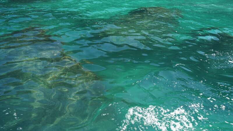 Mazatlan 3 Islands Snorkeling and Bird Watching Tour - Who Should Book This Tour?