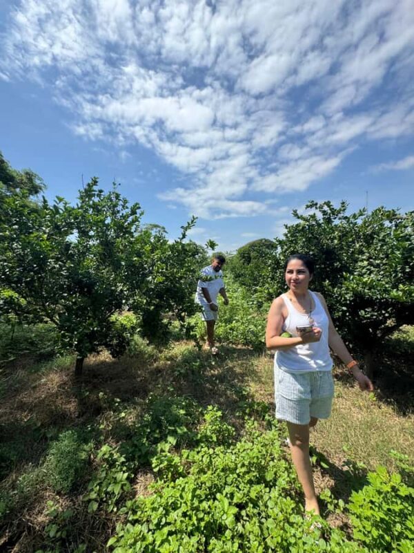 Mazatlán: Fruit Tour with Lunch and Mezcal Tasting - An In-Depth Look at the Mazatlán Fruit Tour