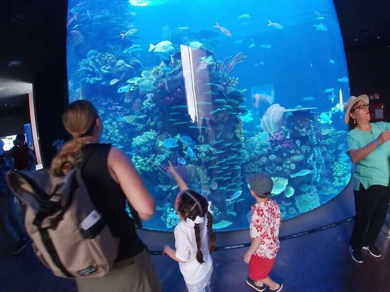 Mazatlan: Grand Aquarium Ticket and City Sightseeing Tour - Final Thoughts