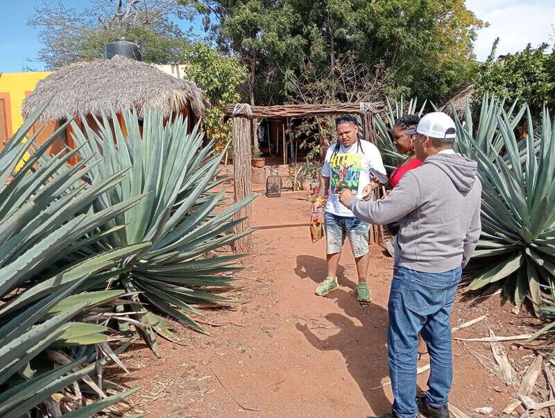Mazatlan: Mezcal Factory Tour with Tasting and Lunch - Practical Details for Travelers
