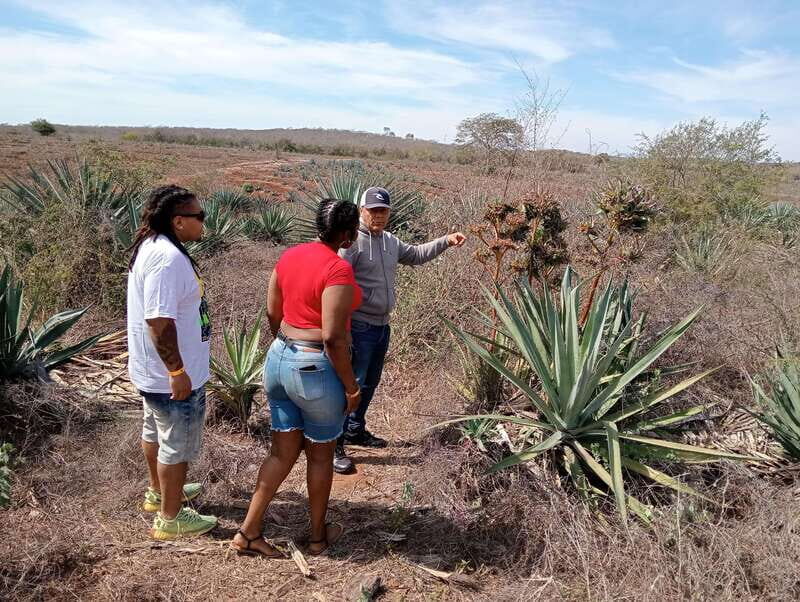 Mazatlan: Mezcal Factory Tour with Tasting and Lunch - Final Thoughts: Who Should Consider This Tour?