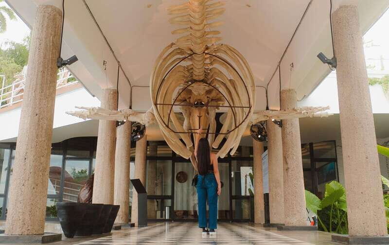 Mazatlán: MUNBA Interactive Ocean Museum Entry Ticket - Key Points