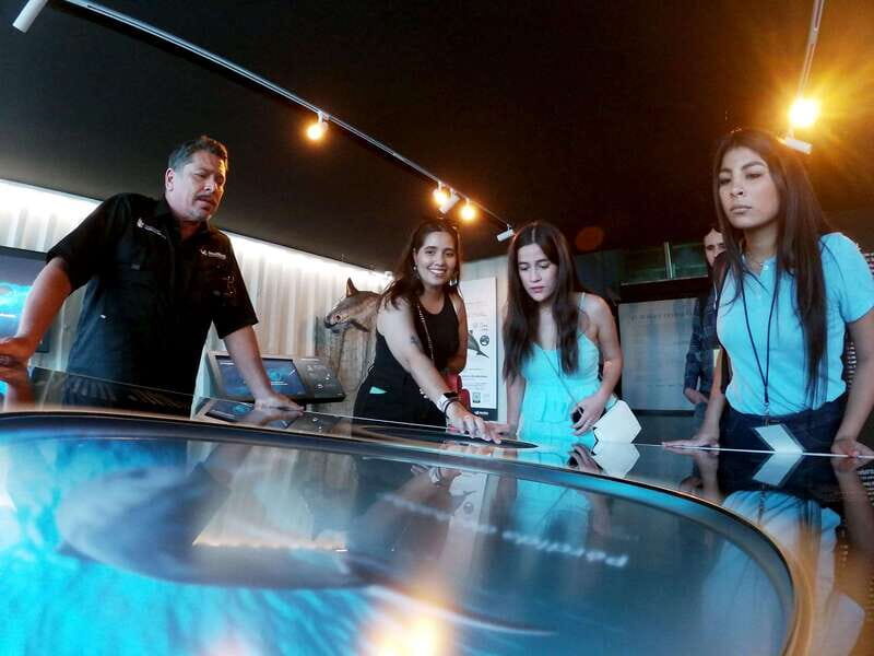 Mazatlán: MUNBA Interactive Ocean Museum Entry Ticket - A Window into Marine Life with Cutting-Edge Tech